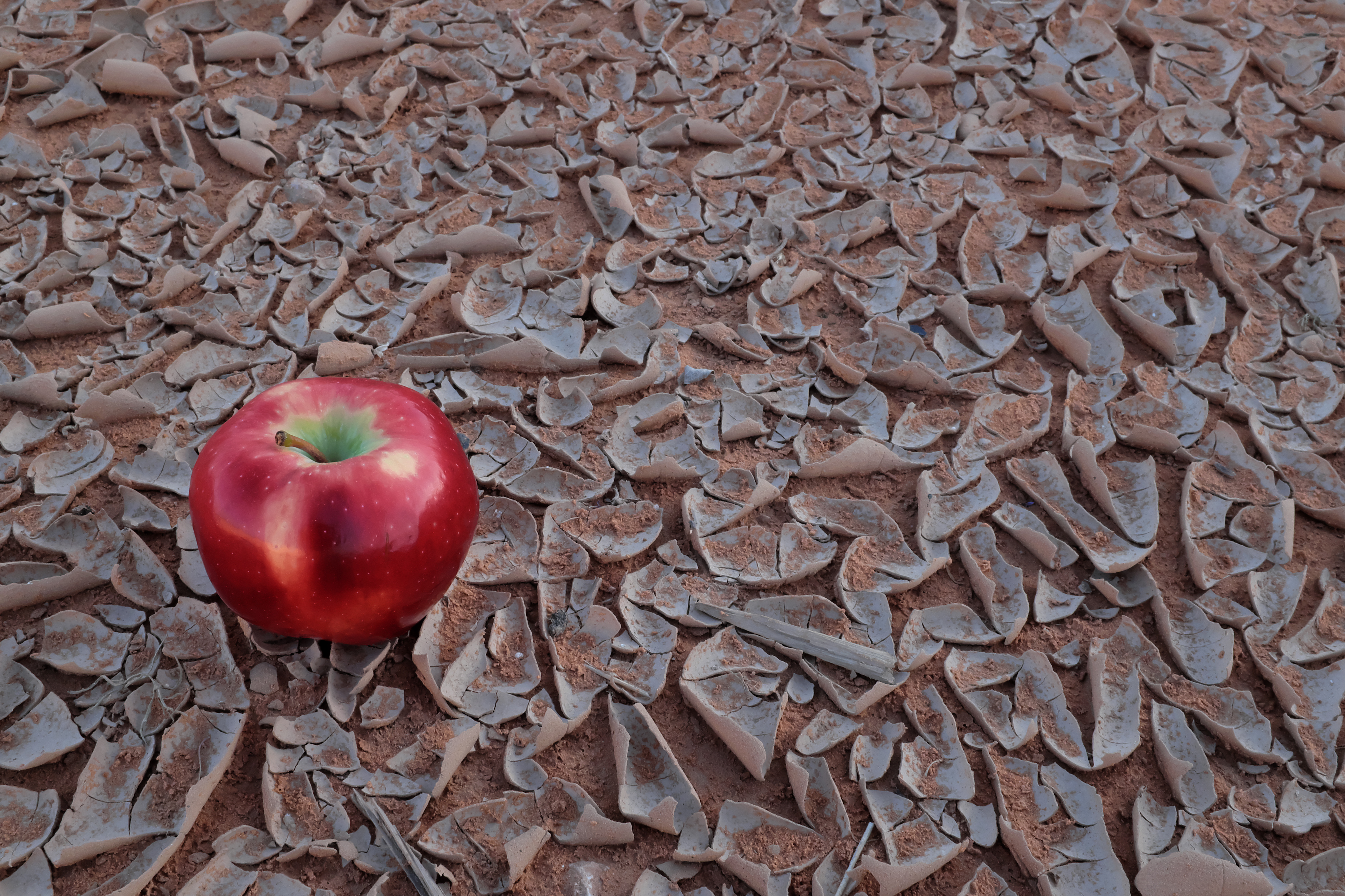 An apple on a dry cracked earth soil. Food insecurity, hunger, climate change and drought concepts.