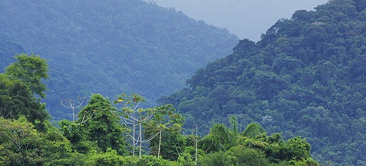 Increased Deforestation And The Amazon Basin Rainfall Wun