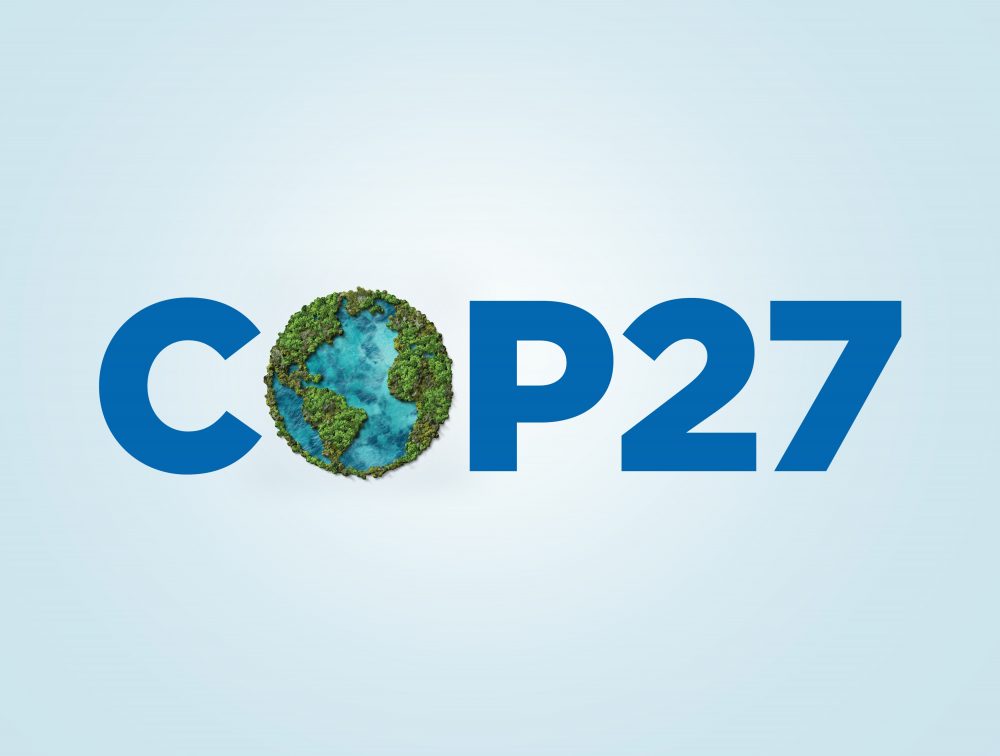 cop27