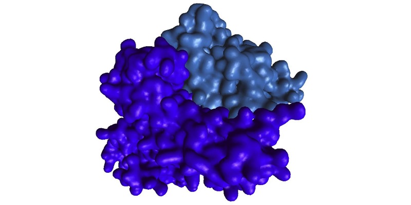 protein_protein_interaction